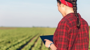 El Tribunal De Cuentas Afirma Que La Política Agraria De La UE Está Desaprovechando Las Herramientas De Macrodatos