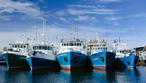 An Interactive Map To Monitor The Activity Of Dark Fleets In Coastal Waters_2