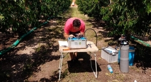 Los Sensores Y Drones Reducen Un 45% El Riego En Verano De Los Cerezos Sin Mermar La Producción