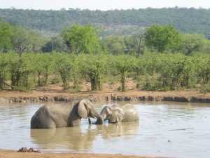 The Impacts Of Climate Change, Population Growth And Land-use Change On Protected Areas In Africa