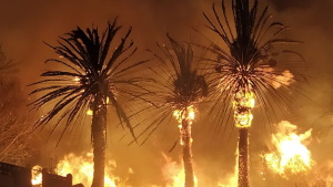 Mapas Inteligentes Para Poner Freno A Los Incendios Un Simulador 3D De Gran Canaria Ayudará A Gestionar Fuegos En Europa