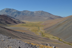 Presentan Un Mapa Online Que Identifica Los Humedales De La Argentina