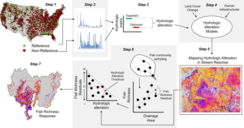 Researchers Map Streamflow Alterations To Gauge Human Impact On Ecosystems