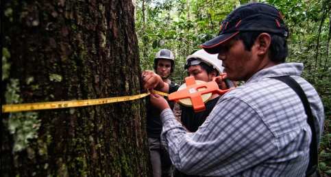 Study Brings Satellite Data Down To Earth For Biomass Tracking