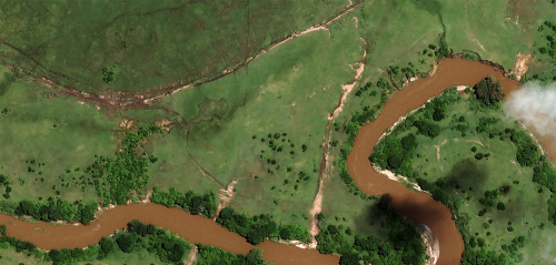 Airbus Foundation Looks To Put Satellites To New Biodiversity Conservation Uses