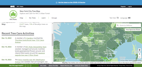 Interactive ​​​​​​​NYC Tree Map Aims To Help Residents Care For Urban Forest