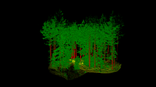 Norway’s Answer To The Smart City Is A “Smart Forest”