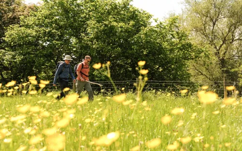 Web Mapping To Support The National Forest’s 25-year Vision