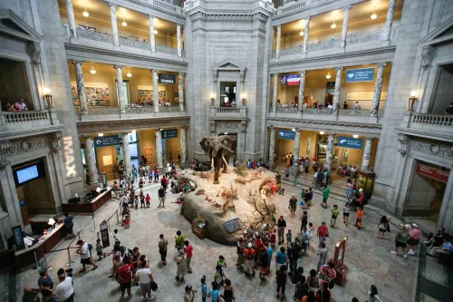 How Climate Change Is Impacting Galleries, Libraries, Archives And Museums