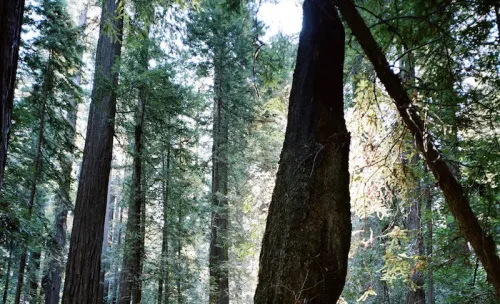 New Trimble Forestry Lab At The University Of British Columbia