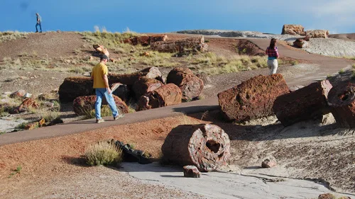 Satellite Imagery Could Improve Fossil-hunting At Remote Sites