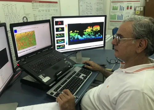 Modelo Digital É Utilizado Em 100% Dos Planos De Manejo Florestal No Acre