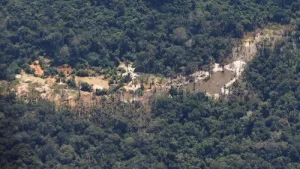Brazil Evicts Gold Miners From Amazon Rainforest