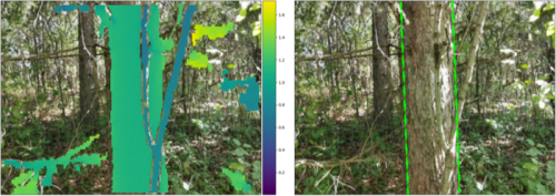 Phone-based Measurements Provide Fast, Accurate Information About The Health Of Forests