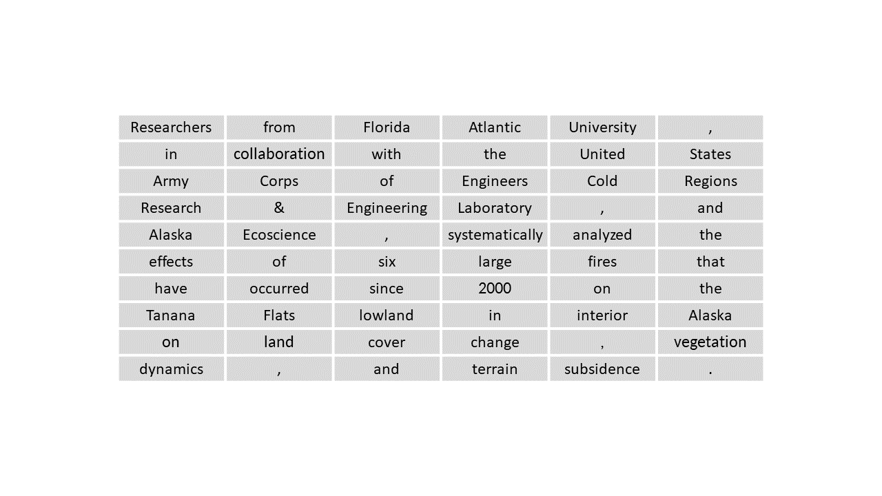 Text tokenization
