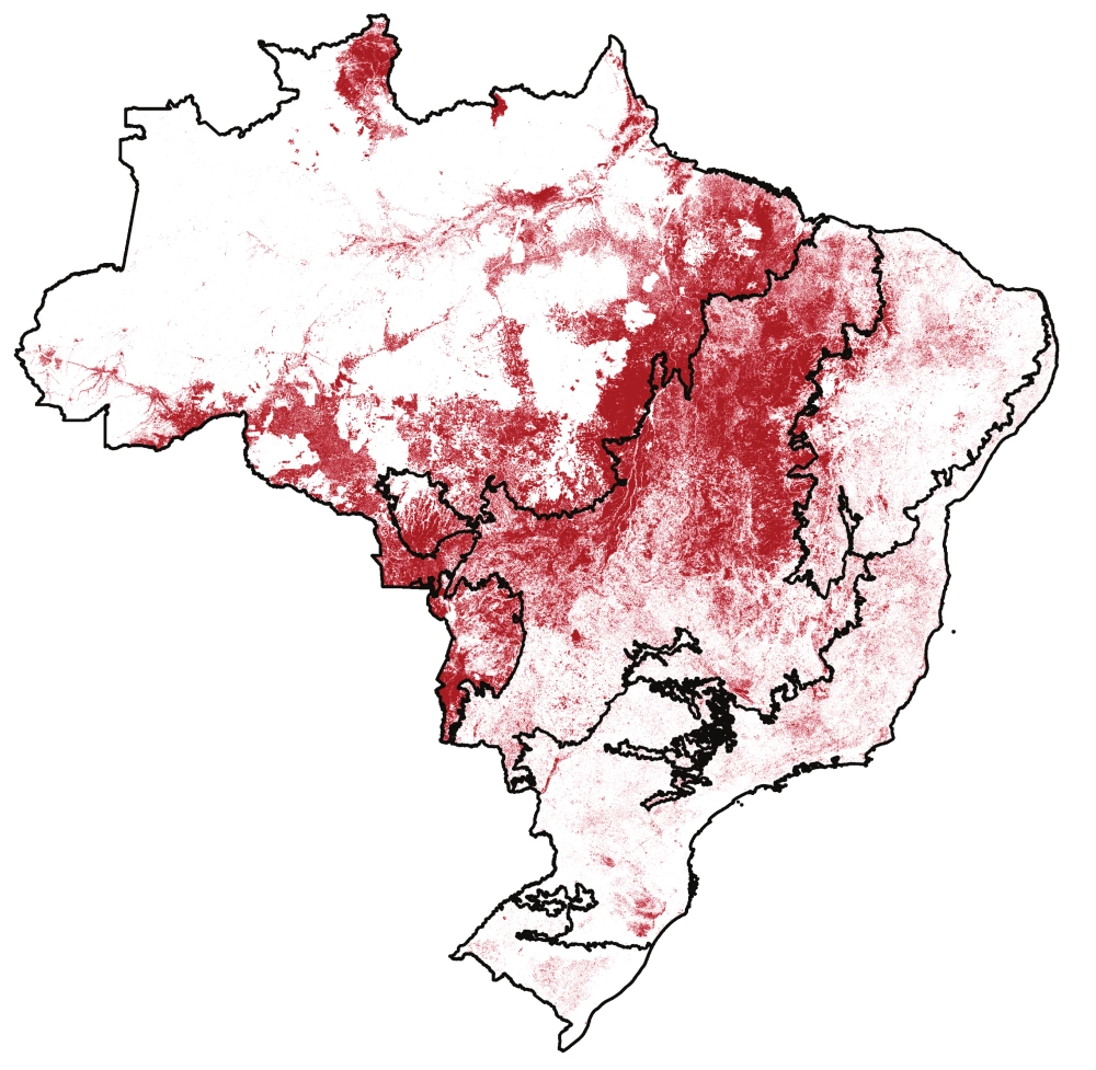 Brasil Queimou Área Equivalente A Colômbia E Chile Juntosentre 1985 E 2022
