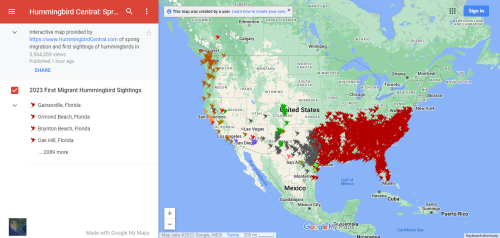 Interactive Map Of Spring Hummingbird Migration Every State They'll Arrive In Plus Feeding Tips