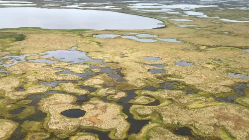 Neural Networks Map The Ebb And Flow Of Tiny Ponds