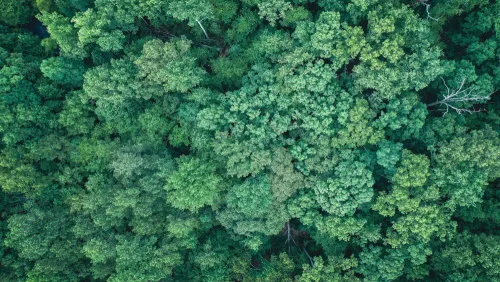 Seasonal Effects On Aboveground Biomass Estimation In Mountainous Deciduous Forests