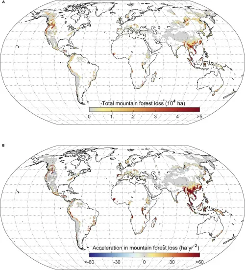 Study Shows Mountain Forests Being Lost At ‘Alarming Rate,’ Especially In Asia