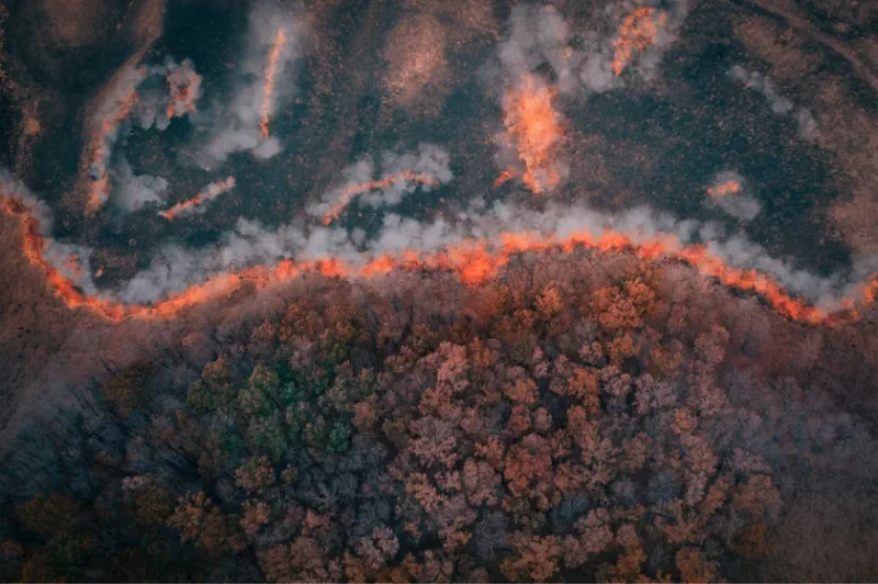 ICEYE Announces Beta Release Of Wildfire Data Product