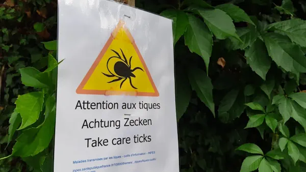 Santé Une Carte Montre La Présence Des Tiques Dans Les Régions De France