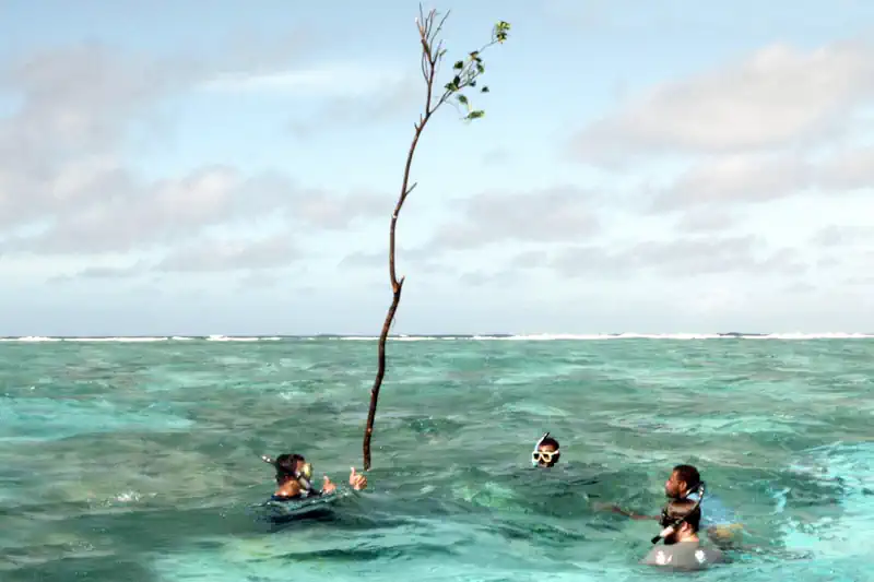 Project Aims To Help Address The Loss Of Cultures Worldwide Caused By Climate Change