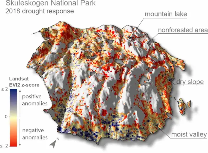 Secondary Forests More Sensitive To Drought Than Primary Forests