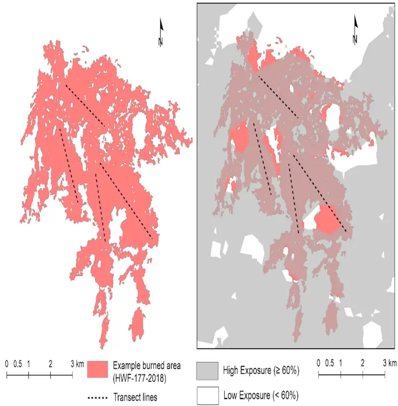 U Of A’s Wildfire Analytics Team Develops Tool To Support Communities