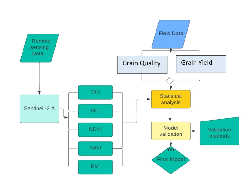 Ecologists Use Satellite Images To Predict Wheat Yield With 98% Accuracy Via Satellite Imagery