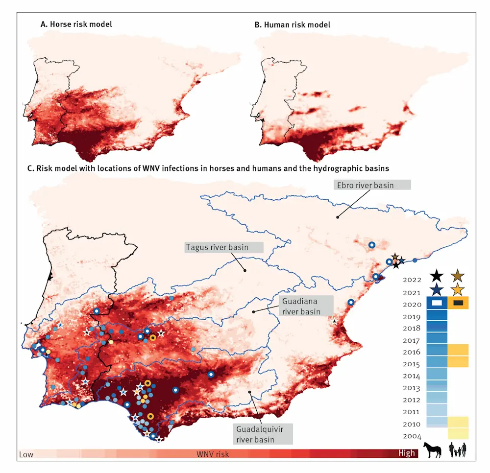 Elaboran Mapas Que Predicen El Riesgo De Contraer La Fiebre Del Nilo Occidental