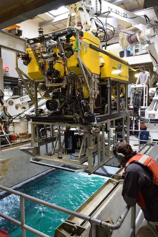 Scientists Mapped The Grand Canyon Of The Sea Right Down To The Centimeter