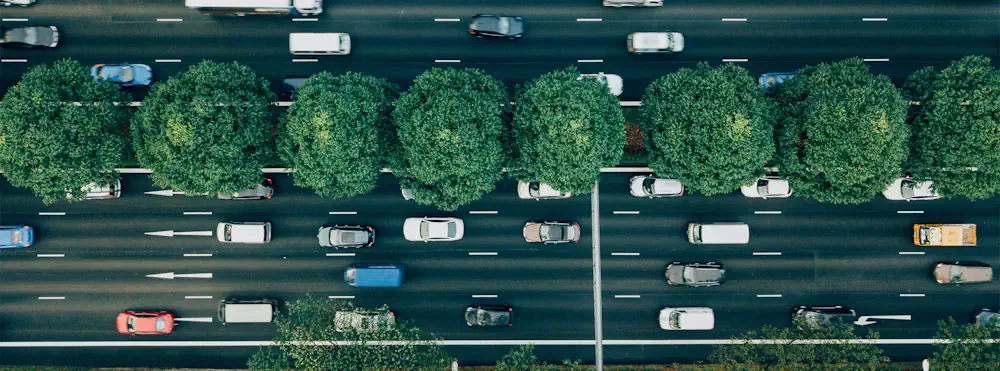 To Understand How Animals Roam, Look At Human Movements, Study Says