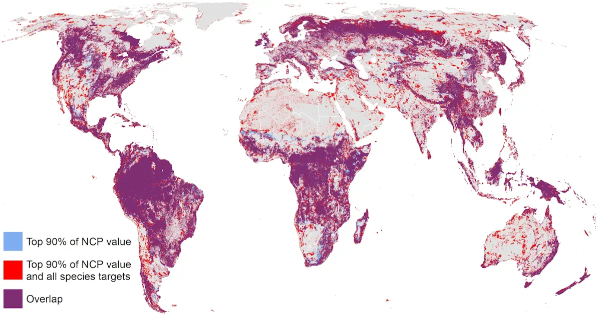 New Research Reveals That Only 18 Percent Of Land Critical For Both Human Well-Being And Biodiversity Is Protected