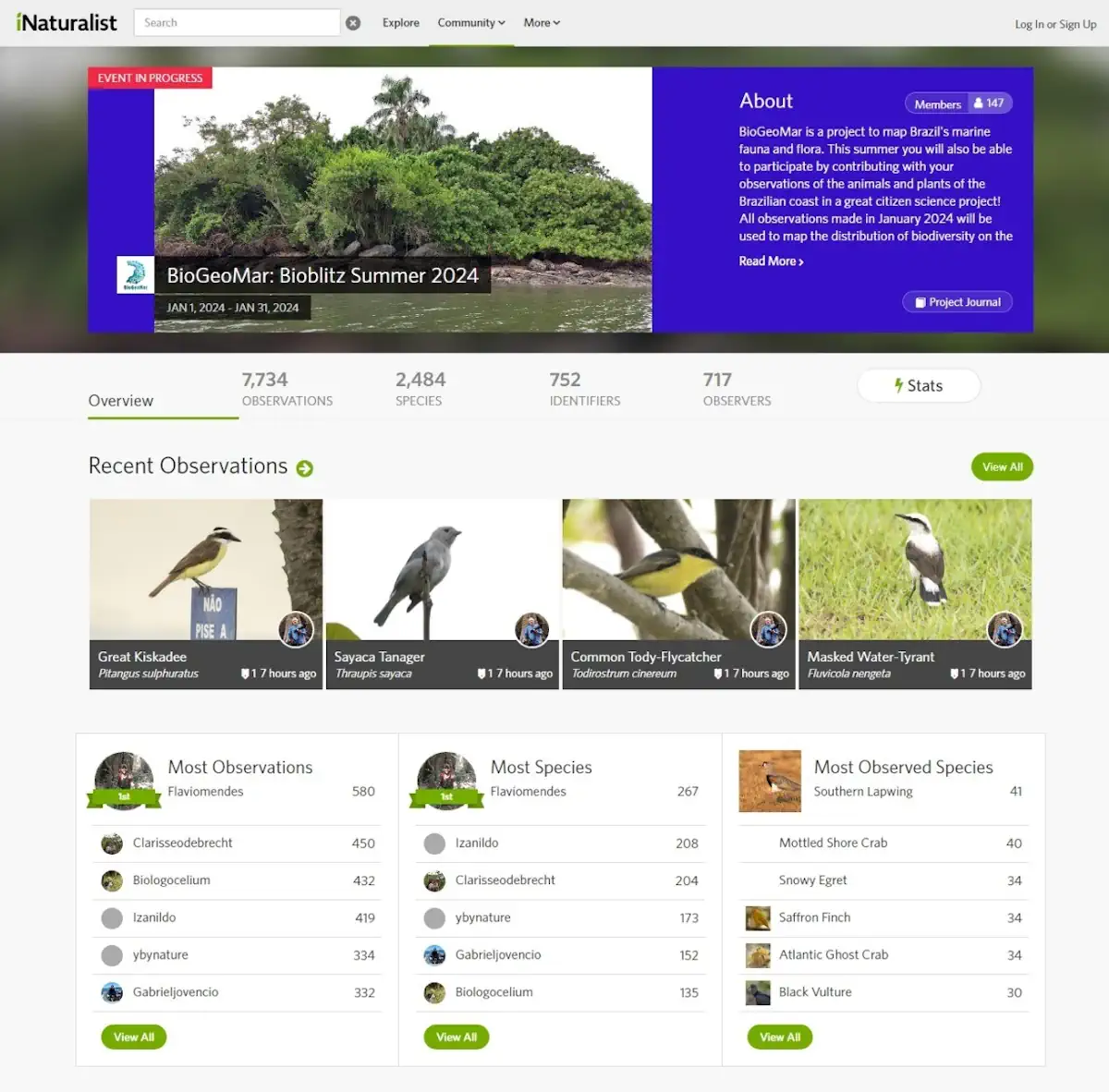 Projeto Biogeomar Convida O Público A Fotografar Animais E Plantas Marinhos