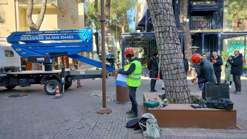 Prosegue La Mappatura Degli Alberi, Già Censite 3500 Piante 60 Dovranno Essere Abbattute