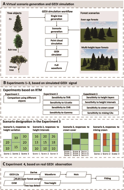 Unlocking The Secrets Of Forest Heights The Role Of GEDI Lidar Technology