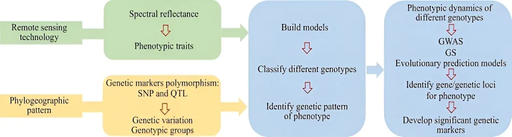 Remote Sensing Research Unravels Plant Genetic Diversity And Evolution