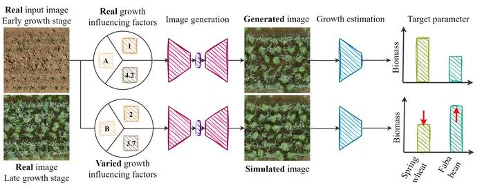 AI Shows How Field Crops Develop