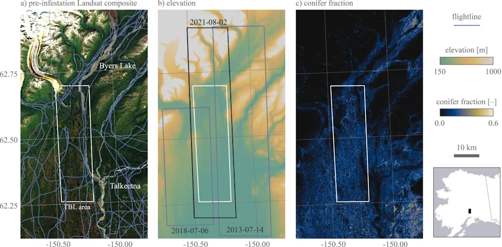 New Way To Spot Beetle-Killed Spruce Can Help Forest, Wildfire Managers