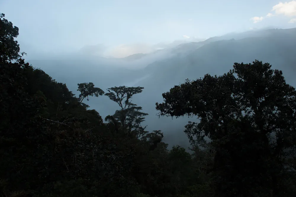 When In Drought Researchers Map Which Parts Of The Amazon Are Most Vulnerable To Climate Change