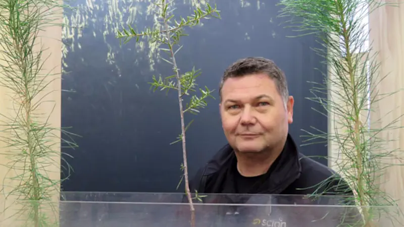 Project To Show Insights Into New Zealand’s Exotic Forests