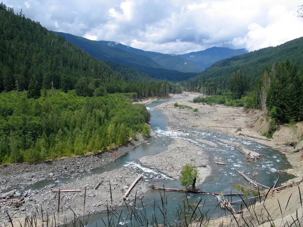 Remote-Sensing Large-Wood Storage Downstream From Reservoirs After Dam Removal