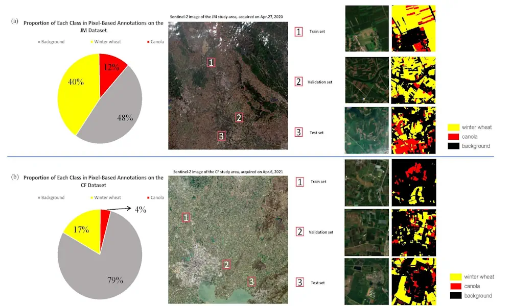 Dual-branch model enables better crop-type mapping in scattered farmlands