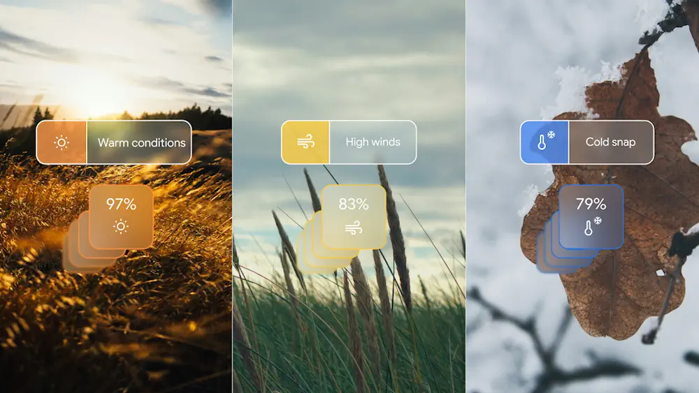 What to Know About Google’s Breakthrough Weather Prediction Model